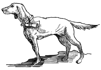 Таємничий острів - i_101.png