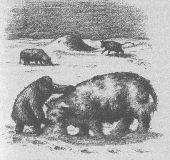 Долгая зима - _06.jpg