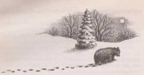 Домик в прерии ч.1 (Маленький домик в Больших Лесах) - _3.jpg