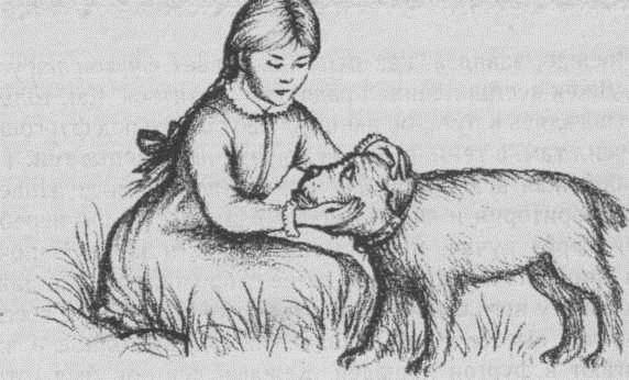 У Серебряного озера ч.2 (На берегу Тенистого ручья) - _4.jpg