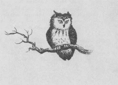 У Серебряного озера ч.2 (На берегу Тенистого ручья) - _37.jpg