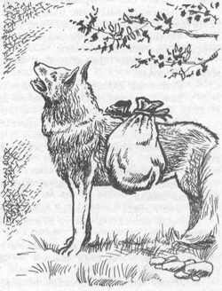 Вдоль Большой реки - i_010.jpg