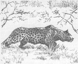 Вдоль Большой реки - i_017.jpg