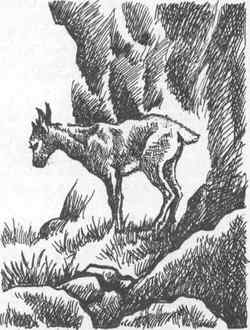 Вдоль Большой реки - i_037.jpg