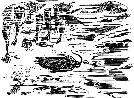 Как развивалась жизнь на Земле - i_002.png