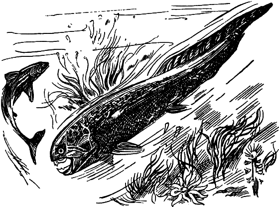 Как развивалась жизнь на Земле - i_004.png