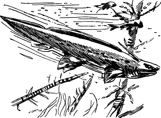 Как развивалась жизнь на Земле - i_005.png