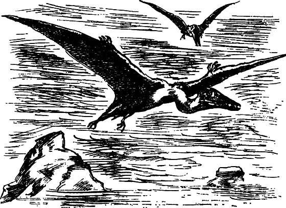 Как развивалась жизнь на Земле - i_012.png