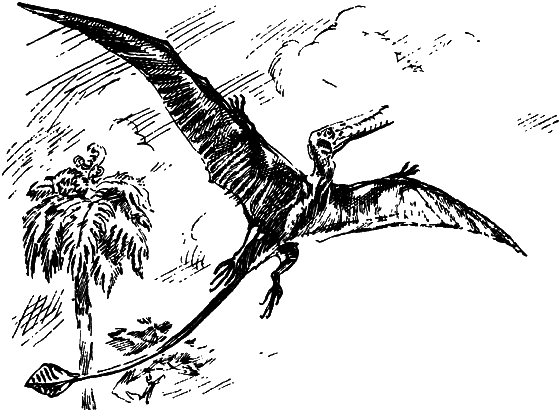 Как развивалась жизнь на Земле - i_013.png