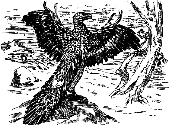 Как развивалась жизнь на Земле - i_014.png