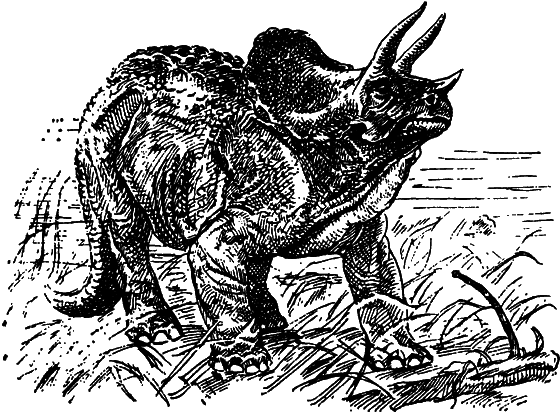 Как развивалась жизнь на Земле - i_015.png