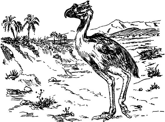 Как развивалась жизнь на Земле - i_026.png