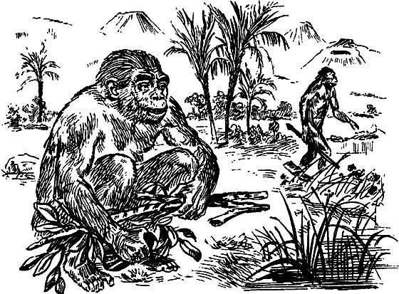 Как развивалась жизнь на Земле - i_033.png