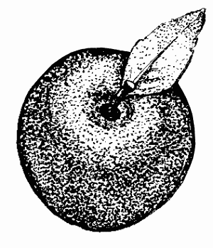 Золотые сорта плодовых культур - i_001.png