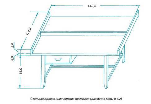 Как вырастить саженцы - pic_18.jpg
