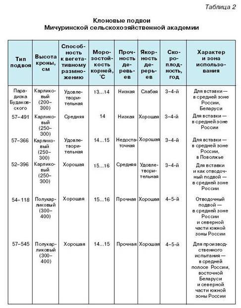 Как вырастить саженцы - pic_5.jpg