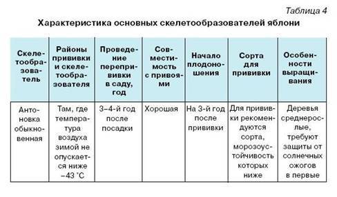 Как вырастить саженцы - pic_7.jpg