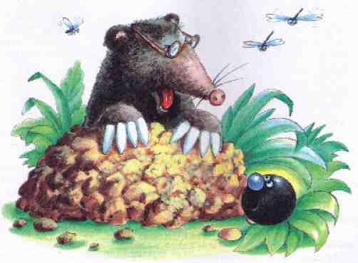 Приключения шахматного солдата Пешкина - i_037.jpg