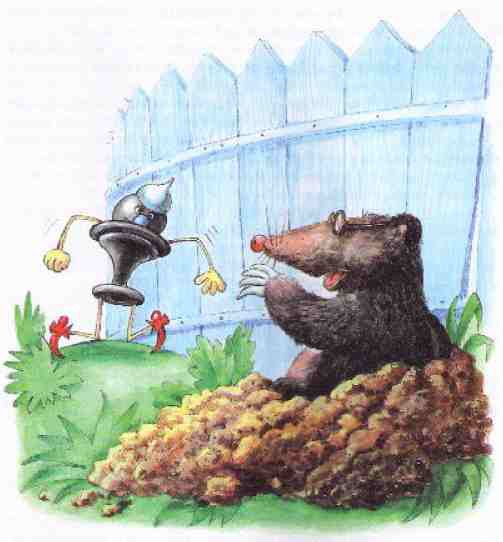 Приключения шахматного солдата Пешкина - i_038.jpg