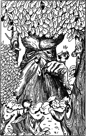 Сказочные повести. Выпуск пятый - i_064.png