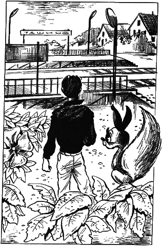 Сказочные повести. Выпуск пятый - i_141.png