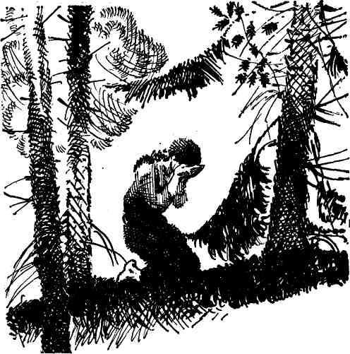 Касьян остудный - img_2.jpeg