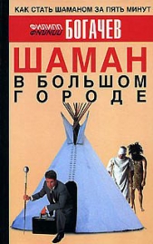 Шаман в большом городе - автор Богачев Филипп Олегович 