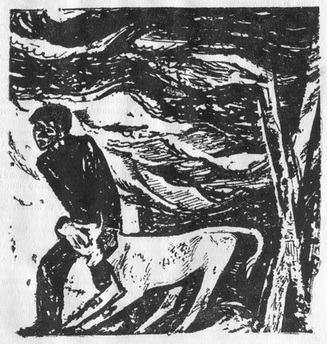 Лагерь на озере чикомасов - pic_19.jpg