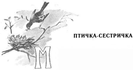 Мы с Севой в лесу - i_004.jpg