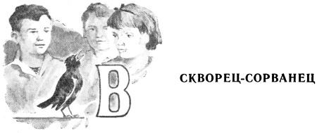 Мы с Севой в лесу - i_010.jpg