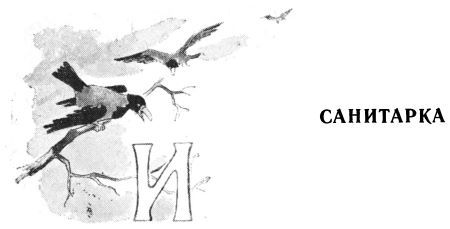 Мы с Севой в лесу - i_026.jpg