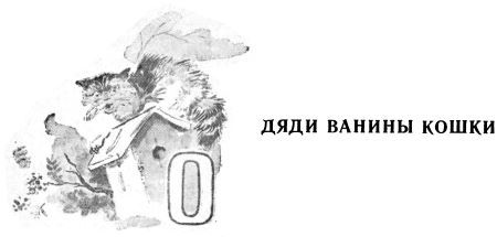 Мы с Севой в лесу - i_033.jpg