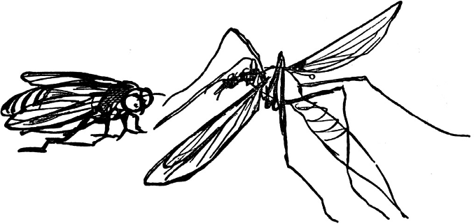 Чистый nonsense (сборник) - _125.png