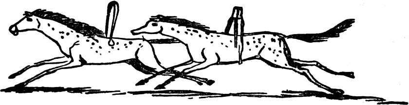 Чистый nonsense (сборник) - _128.png