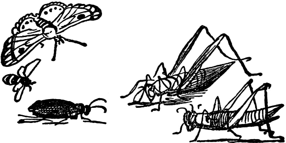 Чистый nonsense (сборник) - _132.png