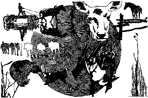 Дороги и тропы - img_4.png