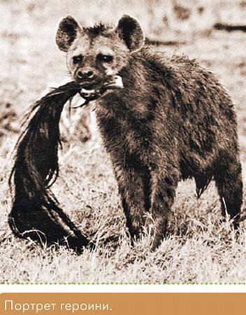 Окно в природу - _33.jpg