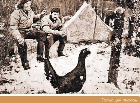 Окно в природу - _38.jpg