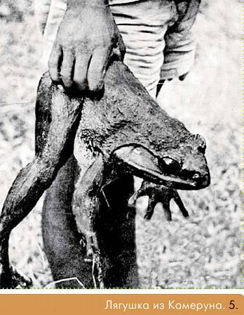 Окно в природу - _47.jpg