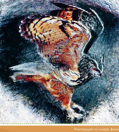 Окно в природу - _102.jpg