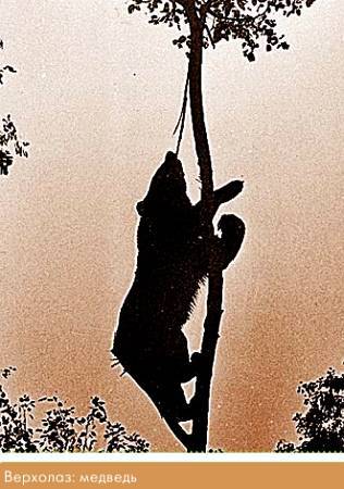 Окно в природу - _65.jpg