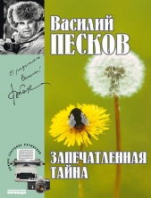 Полное собрание сочинений. Том 13. Запечатленная тайна - автор Песков Василий Михайлович 