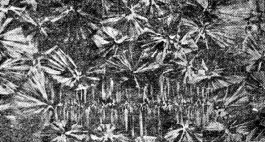 Физика для всех. Молекулы - img_103.jpeg