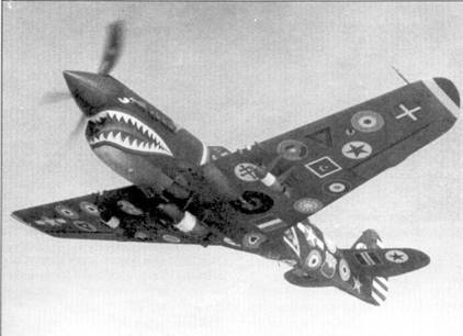 Curtiss P-40 Часть 2 - pic_49.jpg