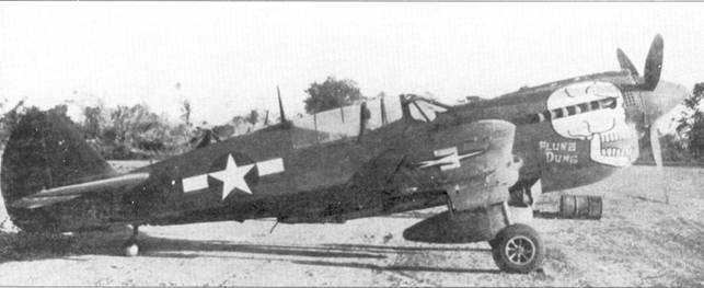 Curtiss P-40 часть 3 - pic_25.jpg