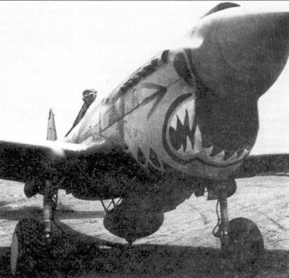 Curtiss P-40 часть 4 - pic_21.jpg