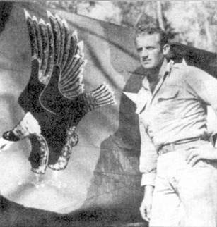 Curtiss P-40 часть 4 - pic_31.jpg