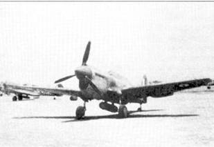 Curtiss P-40 часть 4 - pic_7.jpg
