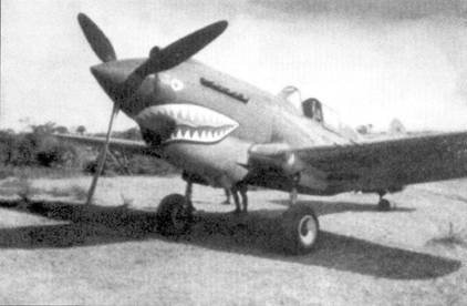 Curtiss P-40 часть 4 - pic_84.jpg