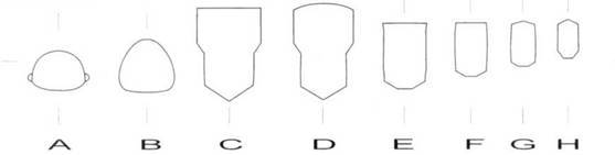 Fieseler Storch - pic_89.jpg